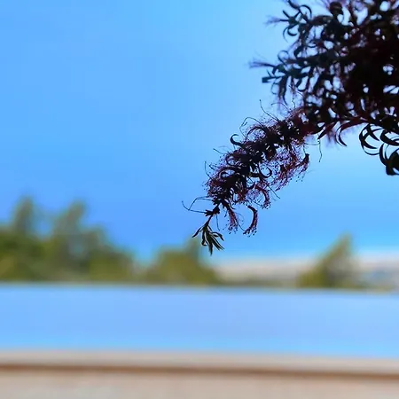 Villa Yali